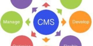 Content Management System