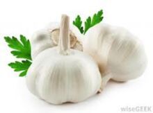 Raw Garlic