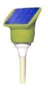 Solar Path Way Light