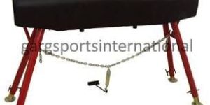 Pommel Horse