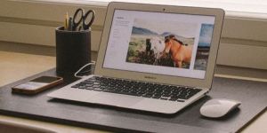 Web Application Development Services