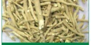 Ashwagandha Extract