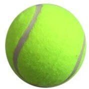 Cricket Tennis Ball