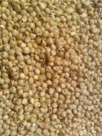 Jowar Seeds