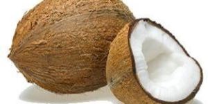 Coconut