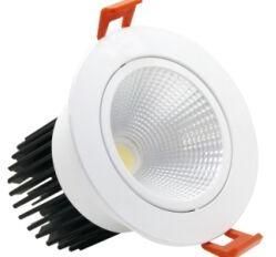 LED Cob Light