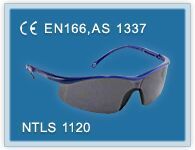 Eye Protection Goggle
