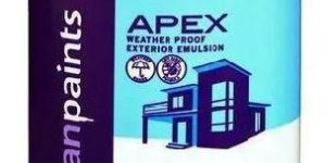 Asian Enterior Paint