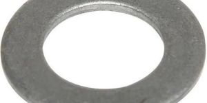 SS Plain Washer