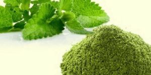 Mint Leaves Powder