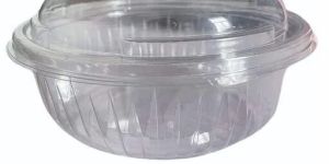 Disposable Plastic Food Container