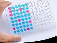 Elisa Kits