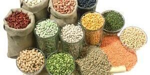 Indian Pulses