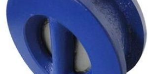 Dual Plate Check Valve