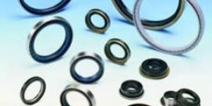 Oil Seals