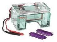 Electrophoresis Systems