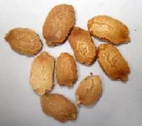 Bitter Gourd Seeds
