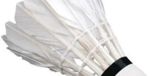 Badminton Shuttlecock