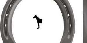 Steel Triumph Horse Shoe