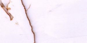 Macabus White Marble