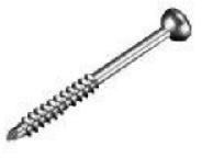 Malleolar Screw