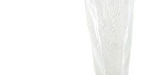 Insect Collecting Net