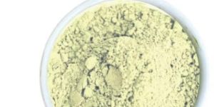 White Kidney Bean Extract Powder