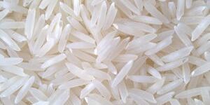 1121 Basmati Rice