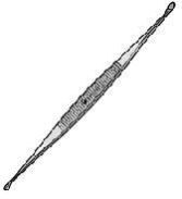 Surgical Williger Bone Curette