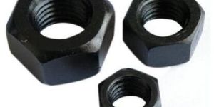 Hex Nut