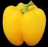 Yellow Capsicum