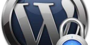 Wordpress Development Service