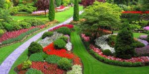 Garden Development Services