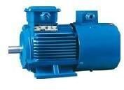 TEFC Induction Motor