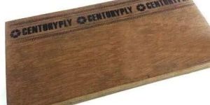 Centuryply Plywood