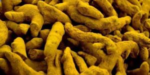 Turmeric