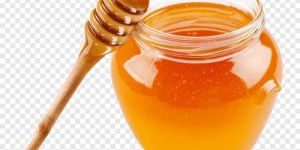 Natural Forest Honey