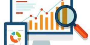 Search Engine Optimization Services