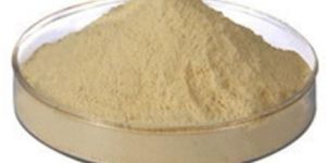Protein Hydrolysate Powder
