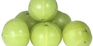 Amla Extract(tannins 40%)