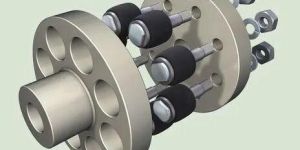 Pin Bush Type Coupling