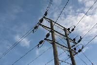 Overhead Line Equipment