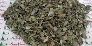 Dried Moringa Leaves