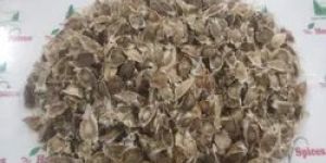 Moringa Seeds