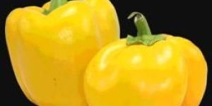 Yellow Bell Pepper