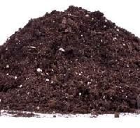Compost Fertilizer