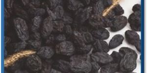 Black Raisin