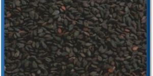 Black Sesame Seed