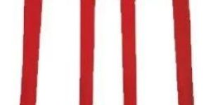 Digging Fork