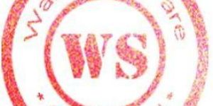 Static Website Designing Services